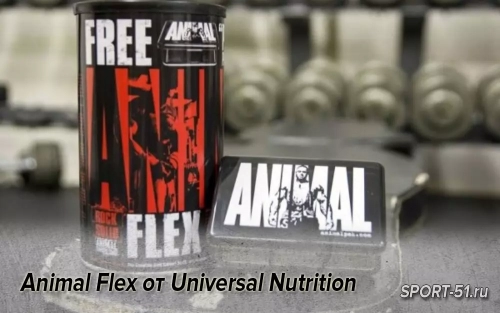 Animal Flex от Universal Nutrition