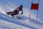 Соревнования по горным лыжам и сноуборду 2014