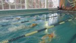 Соревнования по плаванию учащихся Полярных Зорей