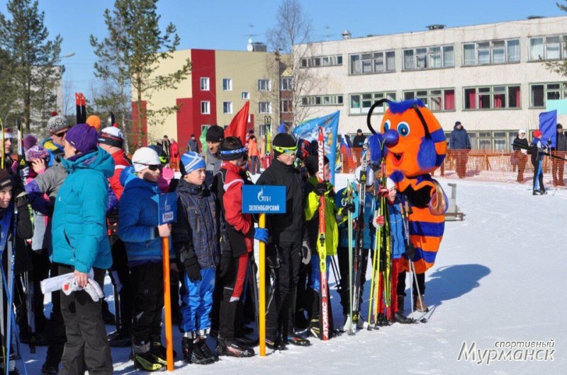 VII детско-юношеские соревнования по лыжным гонкам на Кубок ПАО «ТГК-1»