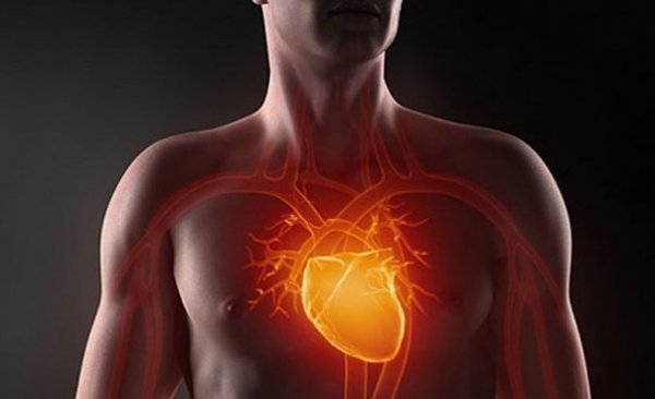Тренировка сердца и развитие выносливости