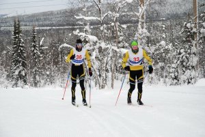Лыжные гонки в Апатитах
