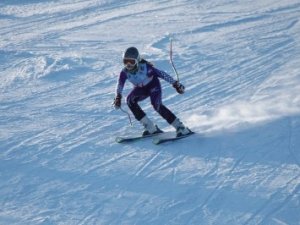 Соревнования по горнолыжному спорту