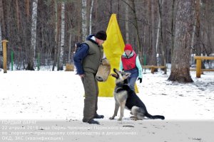 Чемпионат области по спортивно-прикладному собаководству