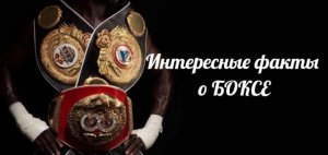 Интересные факты и сведения о боксе и боксерах
