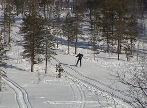 Лыжники потерялись на трассе «Снежинка» в Мурманске