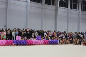 Художественная гимнастика в Мурманске