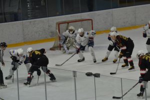 Чемпионат области по хоккею