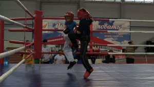 Чемпионат Мурманской области по кикбоксингу