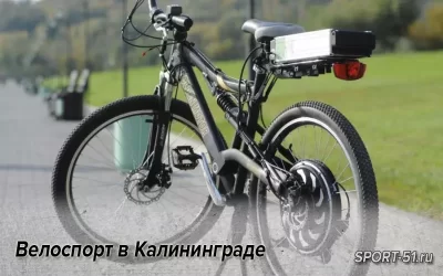 Велоспорт в Калининграде