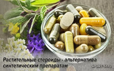Растительные стероиды - альтернатива синтетическим препаратам