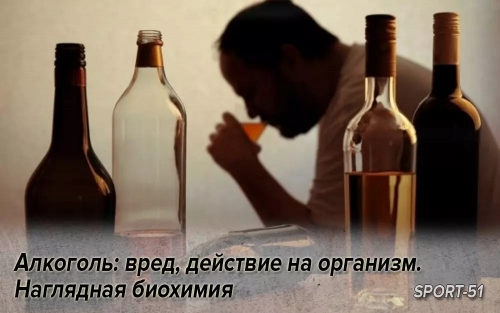 Алкоголь: вред, действие на организм. Наглядная биохимия
