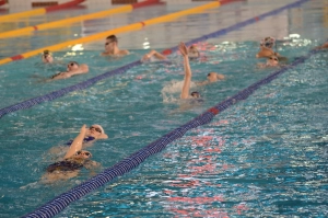 Чемпионат и первенство Мурманской области по плаванию