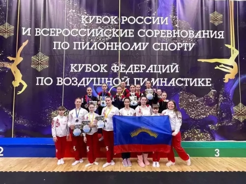 Кубок Федерации по воздушной гимнастике
